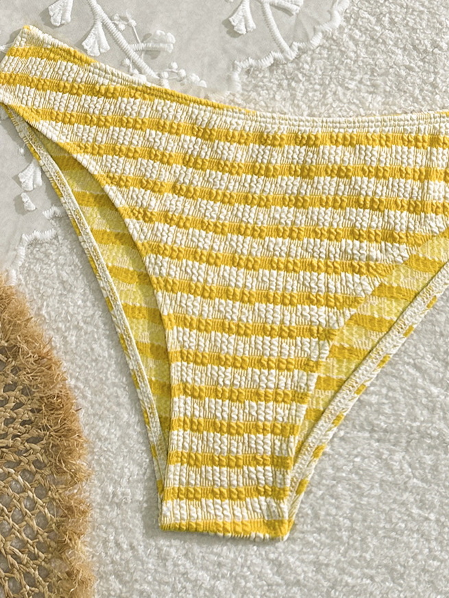 Sexy Striped Two-Piece Bikini - Beach Vacation Women's Swimwear_09