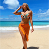 2025 New European Three-Piece Bikini Set With Sexy Cover-Up For Beach Vacations