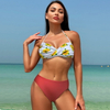 New European Bikini Swimsuit for Women - Colorblock Sexy Ins Style Bikini