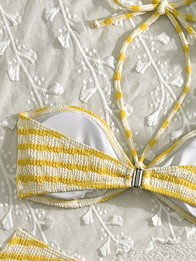 Sexy Striped Two-Piece Bikini - Beach Vacation Women's Swimwear_10