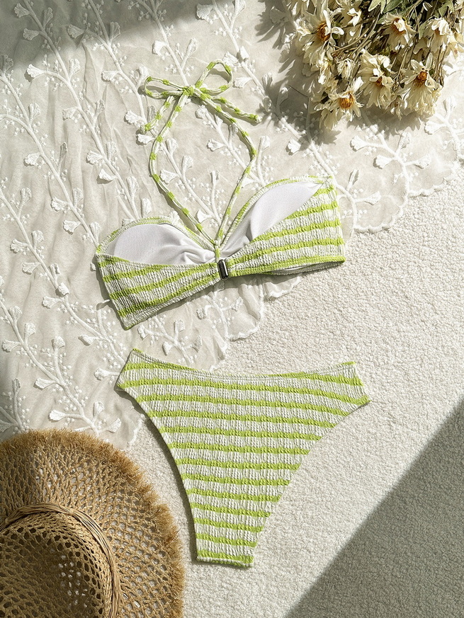 Sexy Striped Two-Piece Bikini - Beach Vacation Women's Swimwear_20