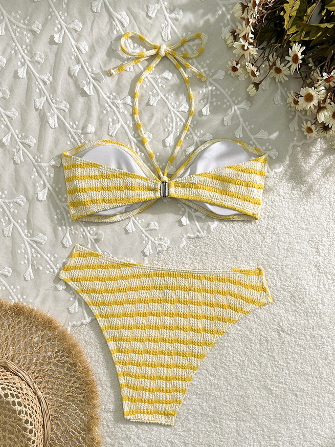 Sexy Striped Two-Piece Bikini - Beach Vacation Women's Swimwear_11