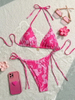 2025 New European Triangle Cup Bikini With Sexy Print, Two-Piece Swimsuit