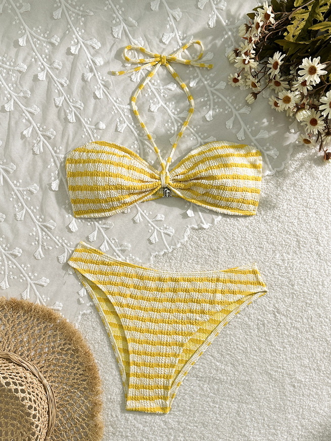 Sexy Striped Two-Piece Bikini - Beach Vacation Women's Swimwear_06