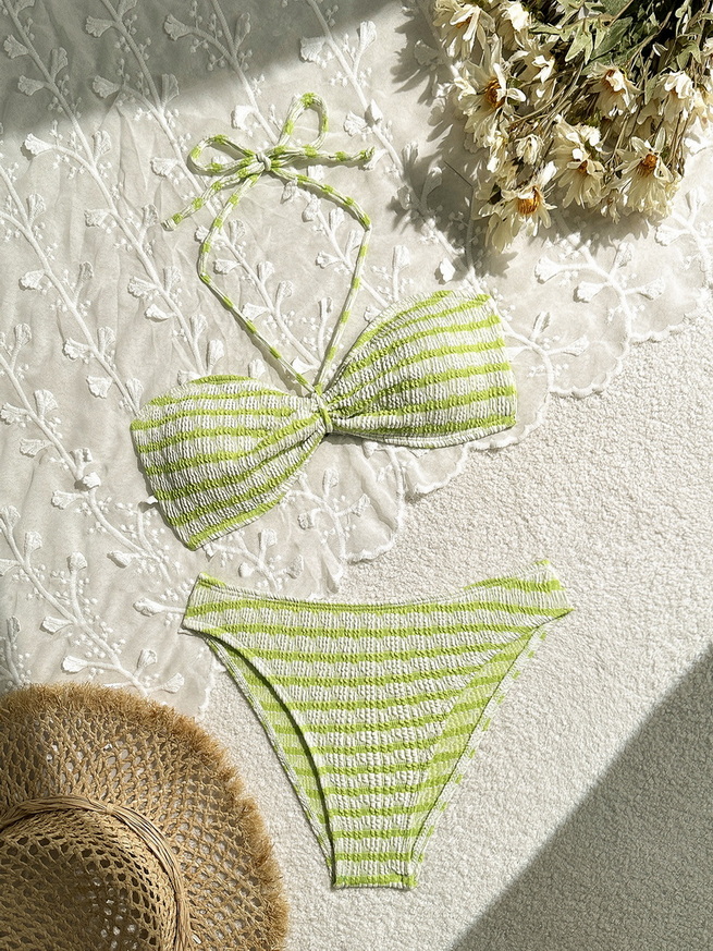 Sexy Striped Two-Piece Bikini - Beach Vacation Women's Swimwear_19