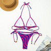 Striped Printed Bikini Set Sexy Backless Two-Piece European New