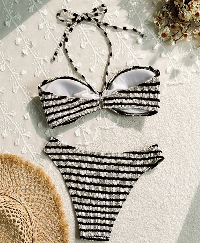 Sexy Striped Two-Piece Bikini - Beach Vacation Women's Swimwear_21