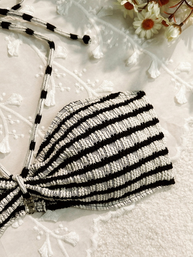 Sexy Striped Two-Piece Bikini - Beach Vacation Women's Swimwear_03