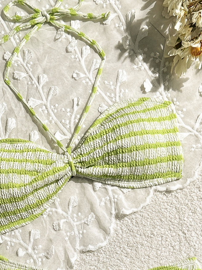 Sexy Striped Two-Piece Bikini - Beach Vacation Women's Swimwear_16